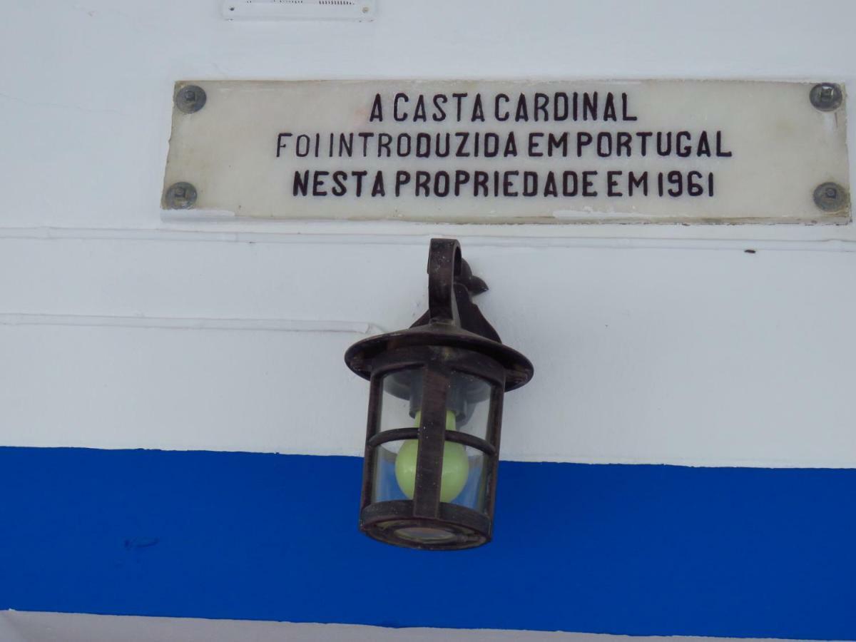 Vale Do Boto-Quinta Com 3 Casas Villa Castro Marim Ngoại thất bức ảnh
