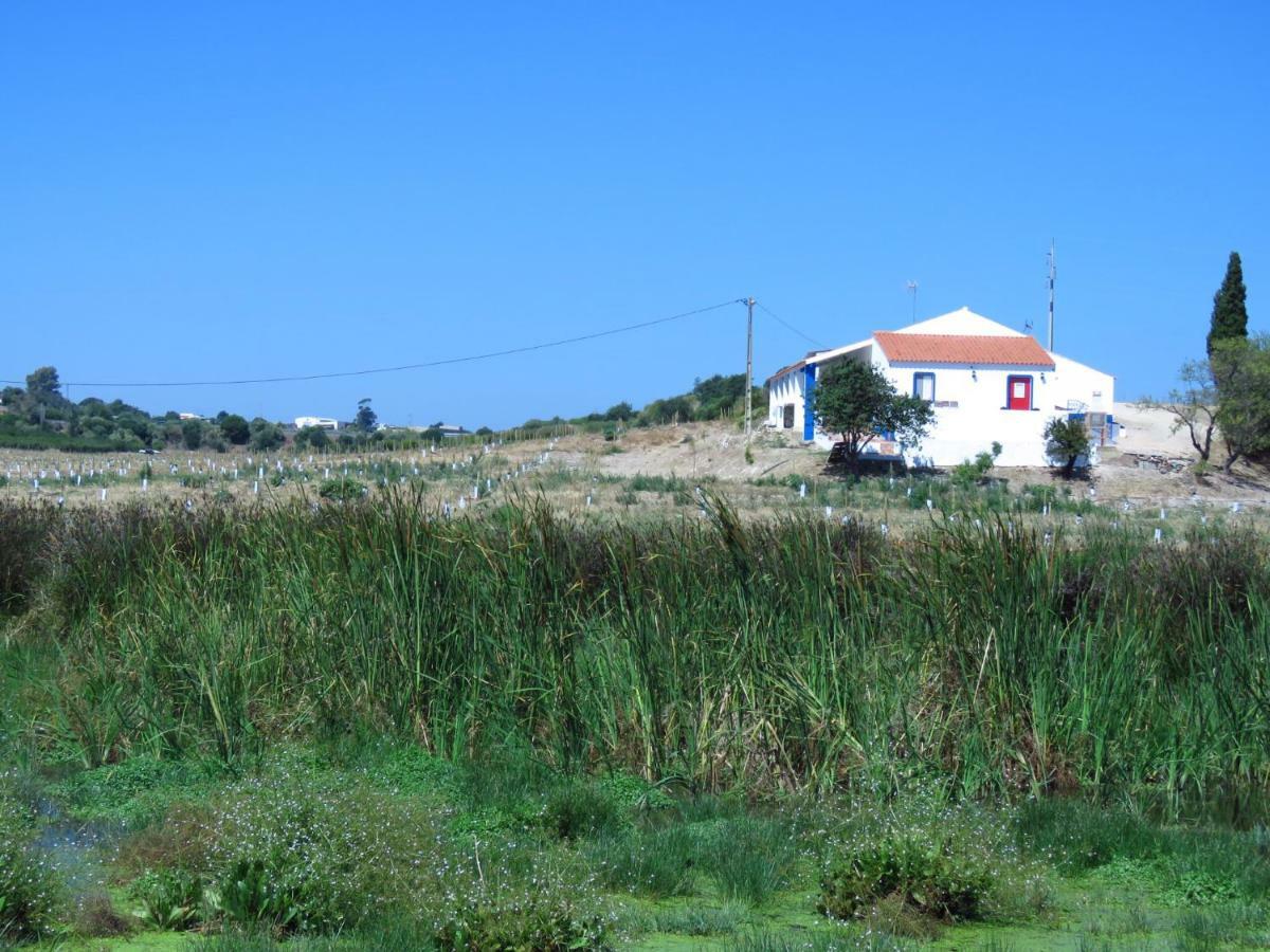 Vale Do Boto-Quinta Com 3 Casas Villa Castro Marim Ngoại thất bức ảnh