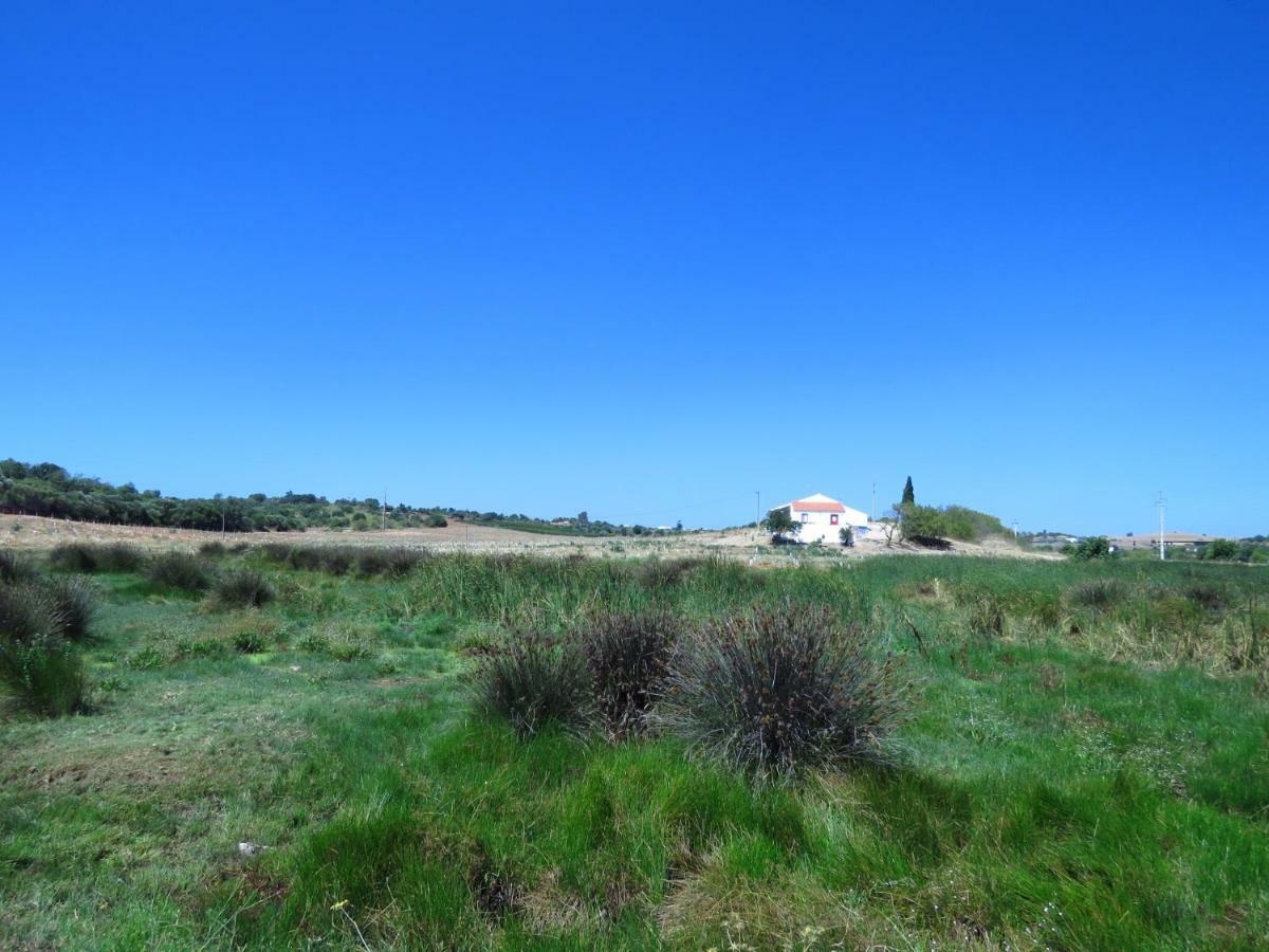 Vale Do Boto-Quinta Com 3 Casas Villa Castro Marim Ngoại thất bức ảnh